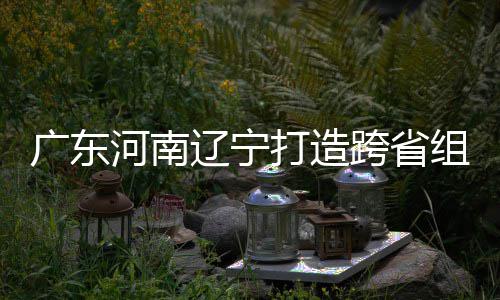 入选河南组合泽涛辽宁 宁打造队广东有望跨省接力三省